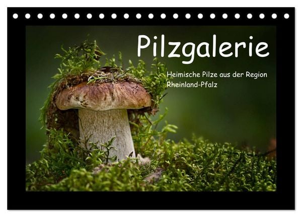 Produktbild: Pilzgalerie - Heimische Pilze aus der Region Rheinland-Pfalz (Tischkalender 2026 DIN A5 quer), CALVENDO Monatskalender