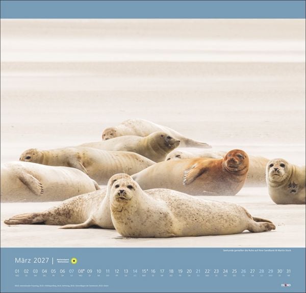Produktbild: Nationalpark Wattenmeer Edition Kalender 2027 - Martin Stock