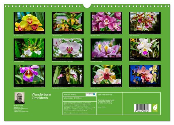 Produktbild: Wunderbare Orchideen (Wandkalender 2026 DIN A3 quer), CALVENDO Monatskalender