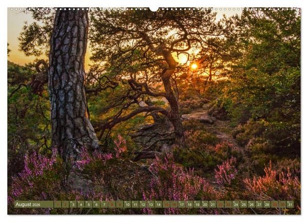 Produktbild: Augenschmaus Pf&auml;lzer Wald (Wandkalender 2026 DIN A2 quer), CALVENDO Monatskalender