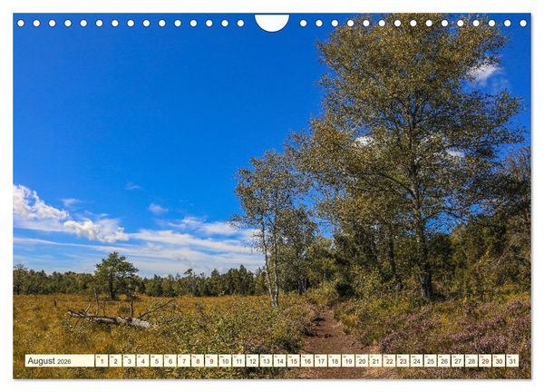 Produktbild: Moor und Riedlandschaften im S&uuml;dwesten (Wandkalender 2026 DIN A4 quer), CALVENDO Monatskalender