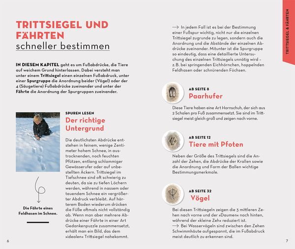 Produktbild: BASIC Tierspuren