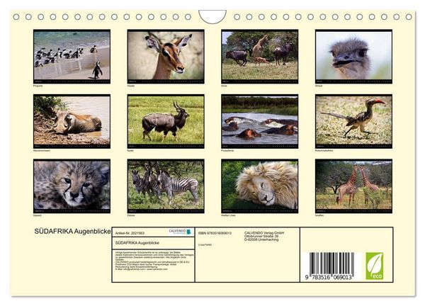 Produktbild: S&Uuml;DAFRIKA Augenblicke (Wandkalender 2026 DIN A4 quer), CALVENDO Monatskalender