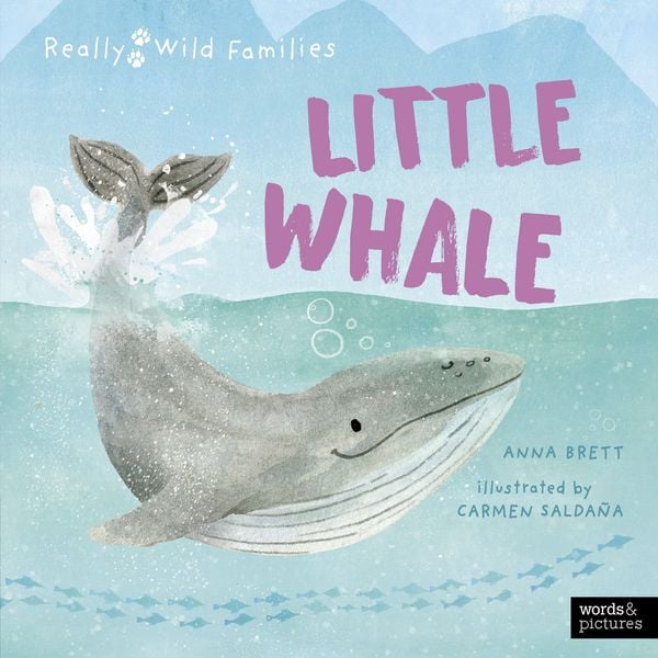 Produktbild: Little Whale
