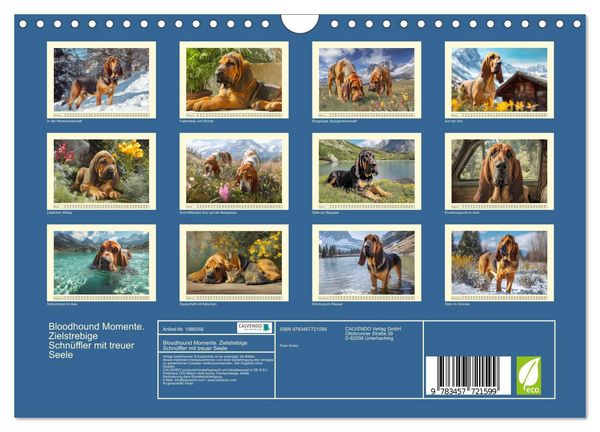 Produktbild: Bloodhound Momente. Zielstrebige Schn&uuml;ffler mit treuer Seele (Wandkalender 2026 DIN A4 quer), CALVENDO Monatskalender