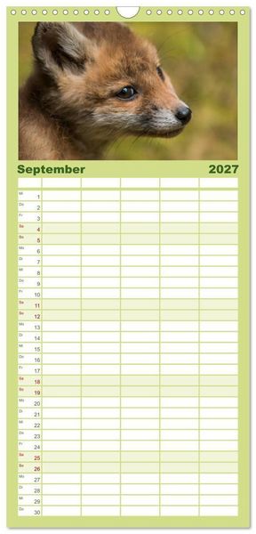 Produktbild: Familienplaner 2027 - Bei den Jungf&uuml;chsen mit 5 Spalten (Wandkalender, 21 x 45 cm) CALVENDO