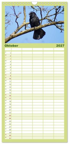 Produktbild: Familienplaner 2027 - Das Leben der Rabenv&ouml;gel mit 5 Spalten (Wandkalender, 21 x 45 cm) CALVENDO