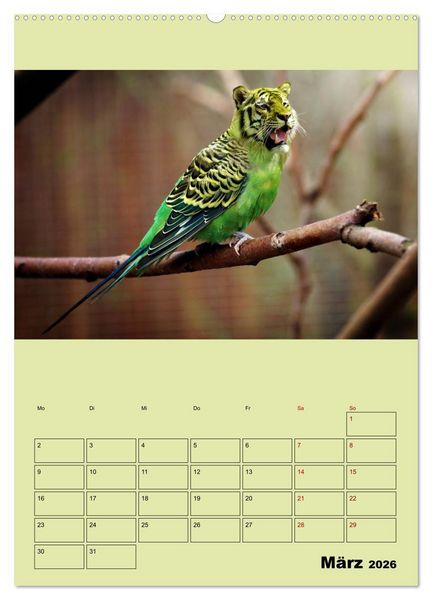 Produktbild: Seltsame Tiere - da stimmt doch was nicht... (Wandkalender 2026 DIN A2 hoch), CALVENDO Monatskalender