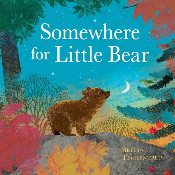 Produktbild: Somewhere for Little Bear