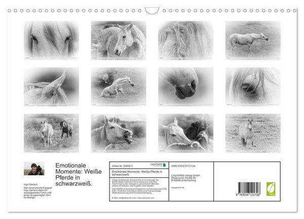 Produktbild: Emotionale Momente: Wei&szlig;e Pferde in schwarzwei&szlig;. (Wandkalender 2026 DIN A3 quer), CALVENDO Monatskalender