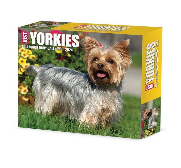 Produktbild: Willow Creek Press: Yorkies 2024 6.2 X 5.4 Box Calendar