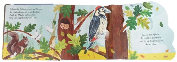 Produktbild: Mein Pop-up-Buch zum Staunen. Wer lebt im Wald?