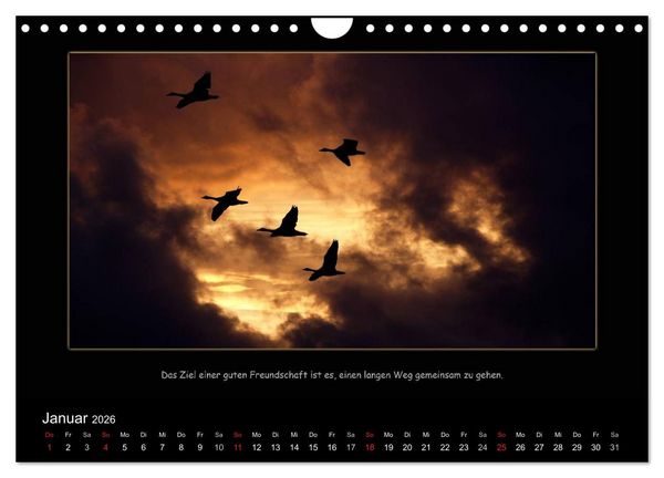 Produktbild: Freundschaft (Wandkalender 2026 DIN A4 quer), CALVENDO Monatskalender