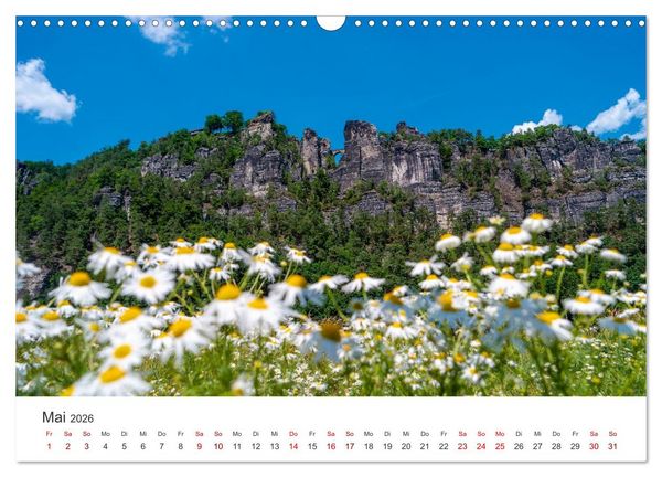 Produktbild: DEUTSCHLAND, S&auml;chsische Schweiz Nationalpark, M&auml;rchenwald (Wandkalender 2026 DIN A3 quer), CALVENDO Monatskalender