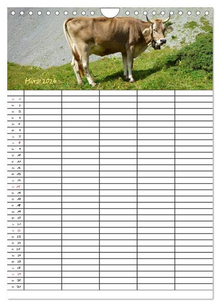 Produktbild: Bauernhoftiere Familienplaner (Wandkalender 2026 DIN A4 hoch), CALVENDO Monatskalender