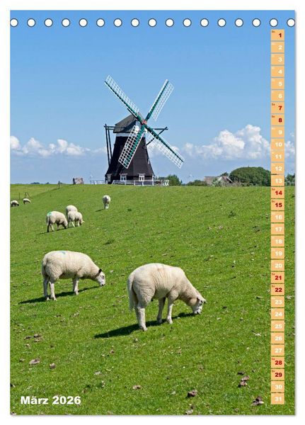 Produktbild: Deutschlands historische Windm&uuml;hlen (Tischkalender 2026 DIN A5 hoch), CALVENDO Monatskalender