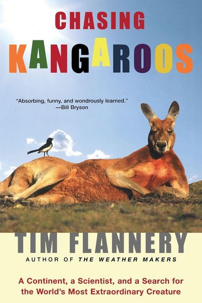 Produktbild: Chasing Kangaroos
