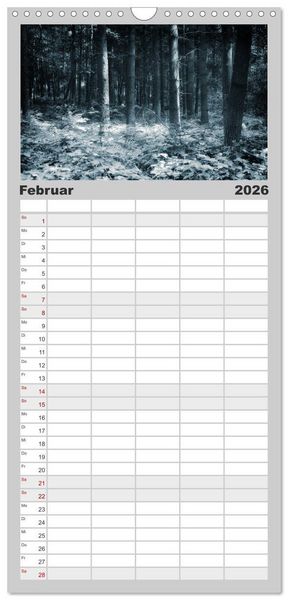 Produktbild: Familienplaner 2026 - Mystische W&auml;lder mit 5 Spalten (Wandkalender, 21 x 45 cm) CALVENDO