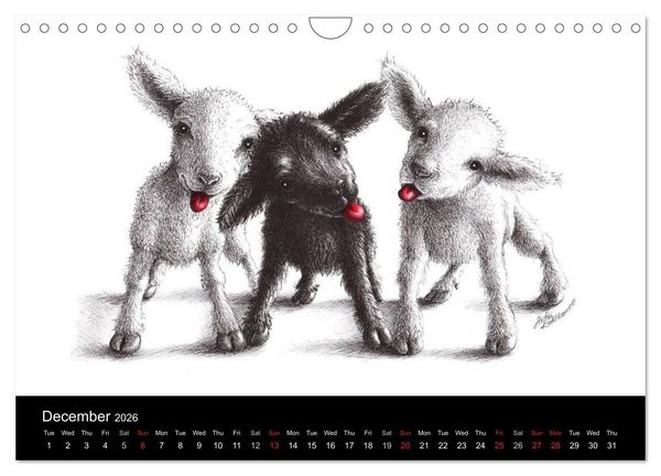 Produktbild: owls & friends 2026 (Wall Calendar 2026 DIN A4 landscape), CALVENDO 12 Month Wall Calendar