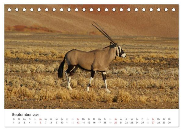 Produktbild: Namibia - Tierische Vielfalt (Tischkalender 2026 DIN A5 quer), CALVENDO Monatskalender