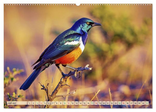 Produktbild: Die buntesten Tiere - Weltweit (Wandkalender 2027 DIN A2 quer), CALVENDO Monatskalender