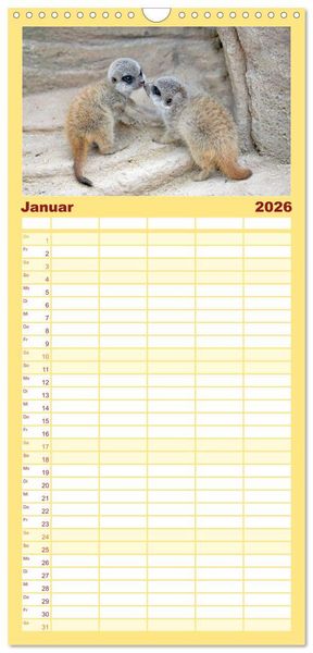 Produktbild: Familienplaner 2026 - Lustige Erdm&auml;nnchen mit 5 Spalten (Wandkalender, 21 x 45 cm) CALVENDO