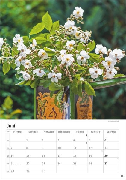Produktbild: Rosenpracht Kalender 2027