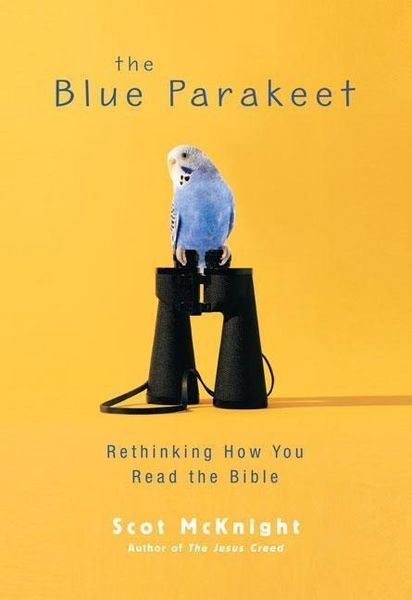 Produktbild: Blue Parakeet