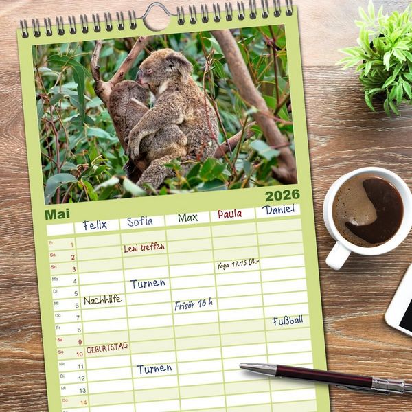 Produktbild: Familienplaner 2026 - Koala - kleiner Teddy mit 5 Spalten (Wandkalender, 21 x 45 cm) CALVENDO