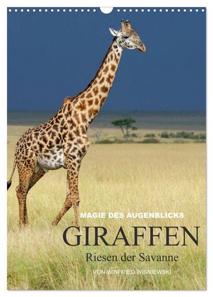 Magie des Augenblicks - Giraffen - Riesen der Savanne (Wandkalender 2026 DIN A3 hoch), CALVENDO Monatskalender