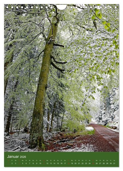 Produktbild: Schwarzwald Nord (Wandkalender 2026 DIN A4 hoch), CALVENDO Monatskalender