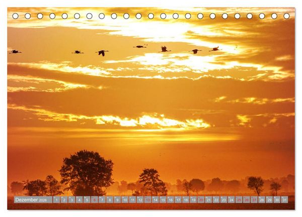 Produktbild: KranichRomantik (Tischkalender 2026 DIN A5 quer), CALVENDO Monatskalender