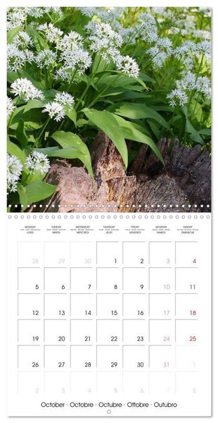 Produktbild: Kruse, G: Printemps toute l'ann&eacute;e (Calendrier mural carr&eacute; 20