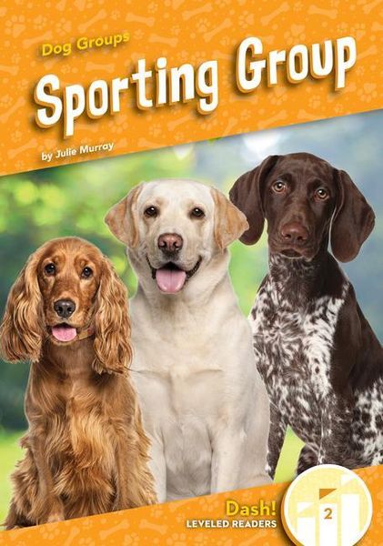 Produktbild: Sporting Group