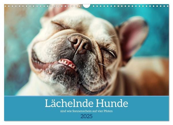 Lächelnde Hunde sind wie Sonnenschein auf vier Pfoten (Wandkalender 2025 DIN A3 quer), CALVENDO Monatskalender