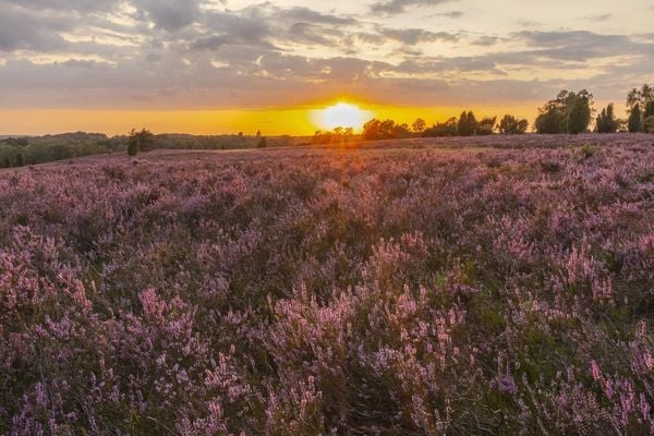 Produktbild: HEIMAT NATUR