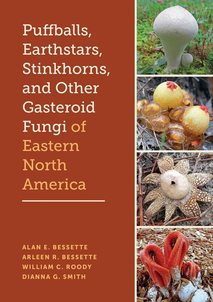 Produktbild: Puffballs, Earthstars, Stinkhorns, and Other Gasteroid Fungi of Eastern North America