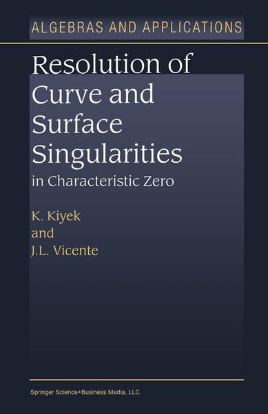 Produktbild: Resolution of Curve and Surface Singularities in Characteristic Zero