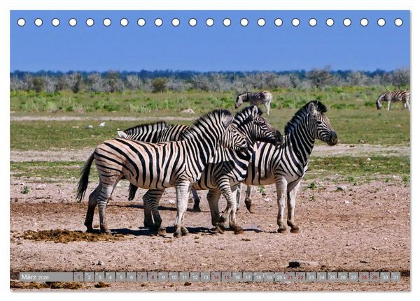 Produktbild: Namibia - Von Nord nach S&uuml;d (Tischkalender 2026 DIN A5 quer), CALVENDO Monatskalender