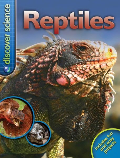 Produktbild: Weber, B: Discover Science: Reptiles
