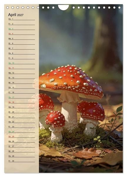 Produktbild: Pilze wie im M&auml;rchen (Wandkalender 2027 DIN A4 hoch), CALVENDO Monatskalender
