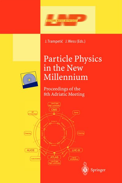 Produktbild: Particle Physics in the New Millennium