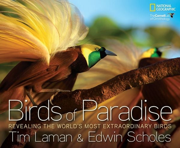 Produktbild: Birds of Paradise