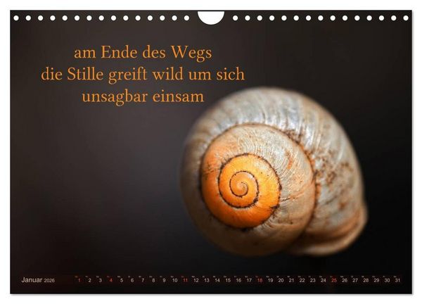 Produktbild: Haiku - Gedichte in 17 Silben (Wandkalender 2026 DIN A4 quer), CALVENDO Monatskalender