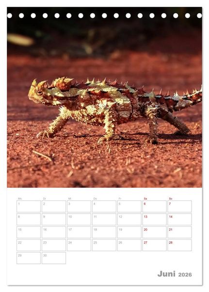 Produktbild: g'day Australien 2026 (Tischkalender 2026 DIN A5 hoch), CALVENDO Monatskalender