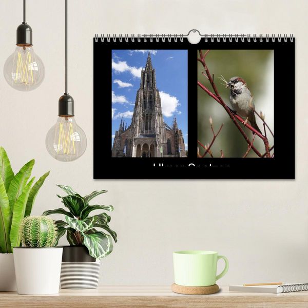 Produktbild: Ulmer Spatzen (Wandkalender 2026 DIN A4 quer), CALVENDO Monatskalender