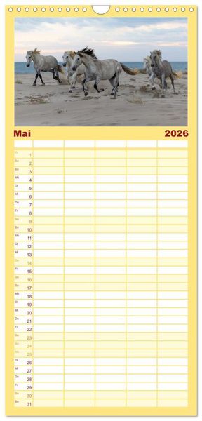 Produktbild: Familienplaner 2026 - Die wei&szlig;en Pferde der Camargue mit 5 Spalten (Wandkalender, 21 x 45 cm) CALVENDO