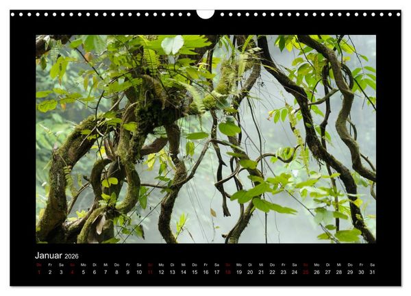 Produktbild: SUMATRA Abenteuer Regenwald (Wandkalender 2026 DIN A3 quer), CALVENDO Monatskalender