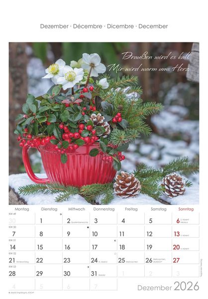 Auszeit für die Seele 2026 - Bildkalender 23,7x34 cm - Kalender mit Platz für Notizen - mit vielen Zusatzinformationen - Wandkalender - Alpha Edition