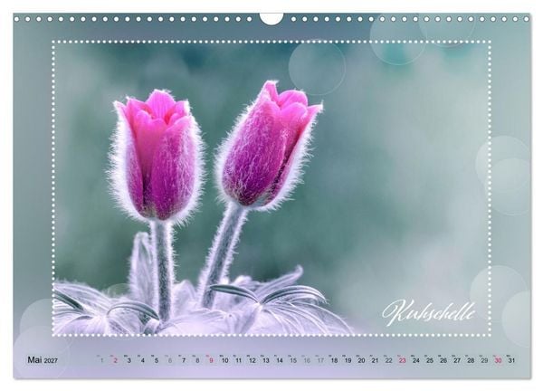 Produktbild: Bl&uuml;tenbouquet (Wandkalender 2027 DIN A3 quer), CALVENDO Monatskalender